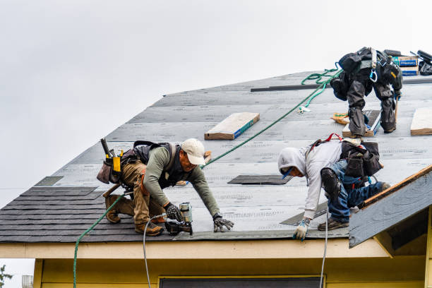 Professional Roofing technician working in Prairieburg, IA